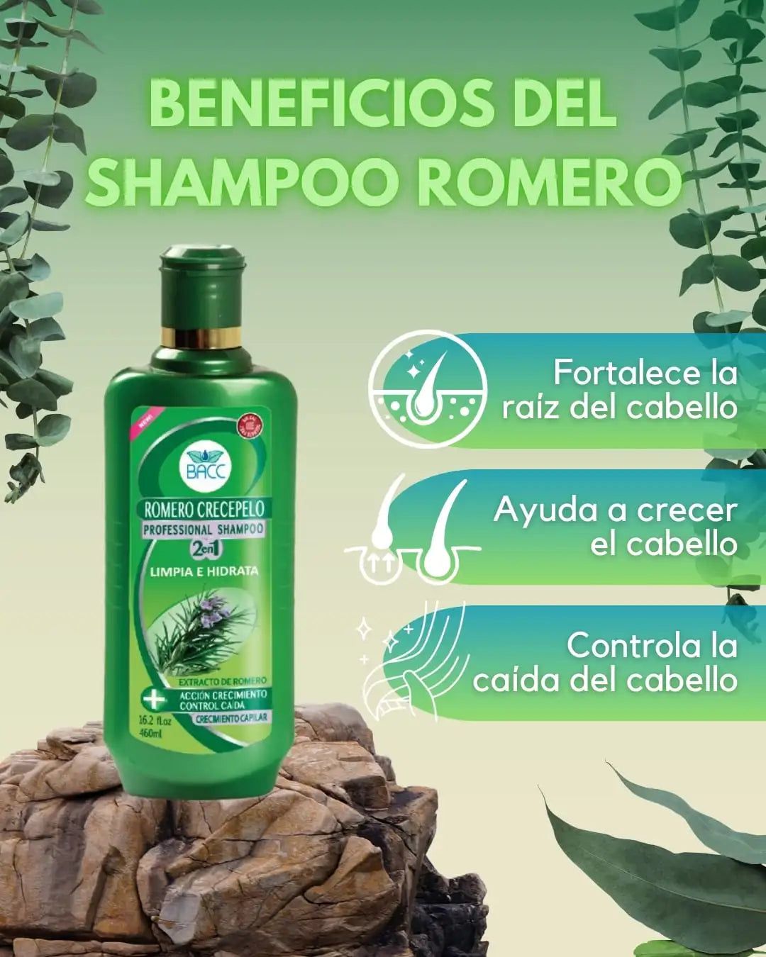 PACK REVITALIZANTE® PARA CRECIMIENTO DE CABELLO